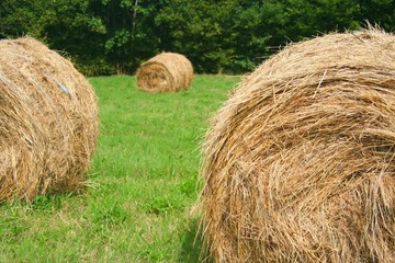 Ambiance de campagne