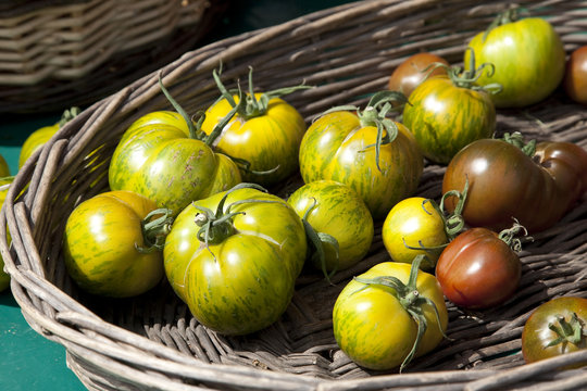 Tomaten