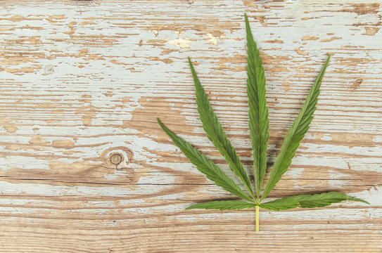 leaf marijuana on wood vintage background