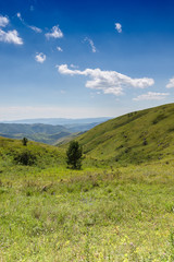 Yellow-green hill and sky with clouds. Wild grasses.