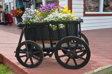 CARRIOLE DE FLEURS PERCE GASPÉSIE QUEBEC CANADA 