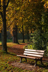 Parkbank und B&auml;ume mit Herbstlaub