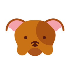 cute dog mascot icon vector illustration design