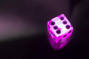 Transparent Pink Dice