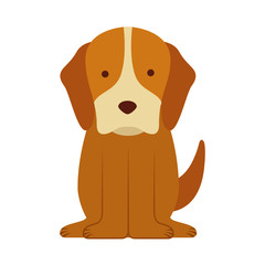 cute dog mascot icon vector illustration design