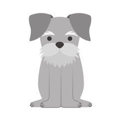 cute dog mascot icon vector illustration design