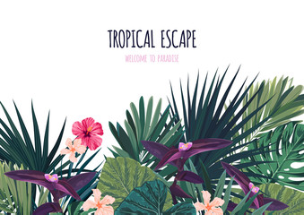 Fototapeta premium Floral horizontal postcard design with hibiscus flowers, monstera and royal palm leaves. Exotic hawaiian vector background.