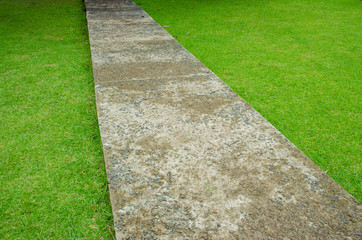 concrete walkway in garden
