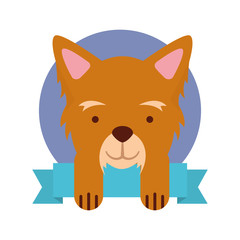 cute dog mascot with ribbon vector illustration design