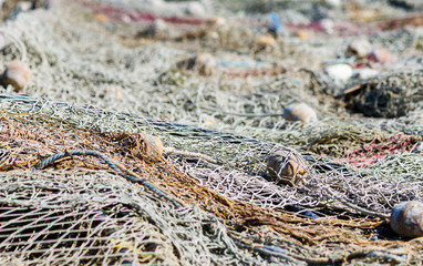 details of an old fishing net