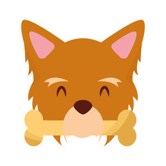 cute dog mascot with bone vector illustration design