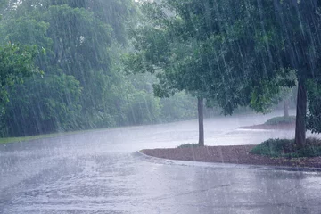 Foto op Plexiglas heavy rain and tree in the parking lot © nd700
