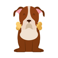 cute dog mascot with bone vector illustration design