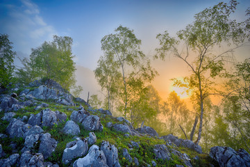 mountain rocks and trees