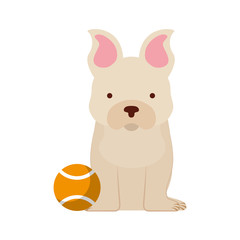 cute dog mascot with tennis ball vector illustration design