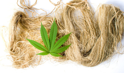 Marijuana leafs on top of hemp fibers