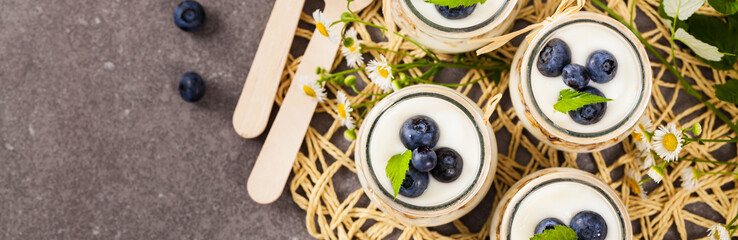 Yogurt Dessert with Blueberries Panoramic image. Selective focus.