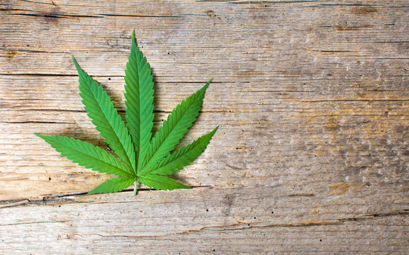 Marijuana leaf on rustic wooden background