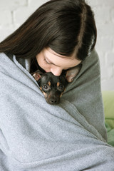 Owner friendship with small puppy. Single woman cuddling Toy Terrier
