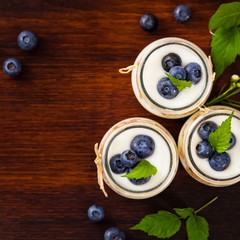 Greek Yogurt Dessert with Blueberries. Selective focus.