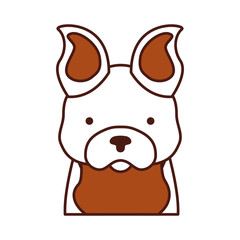 cute dog mascot icon vector illustration design