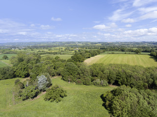 Fototapeta na wymiar Aerial view of farming fields, green pastures, meadows on an edge of woodland, in an English rural countryside, Cotswolds, on a sunny summer day.