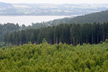 Waldgebiete des NRW. Deutschland