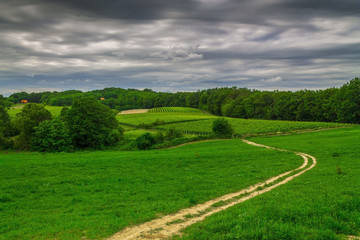 Fototapeta na wymiar Green gloomy countryside