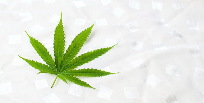 Marijuana leaf on white textile background
