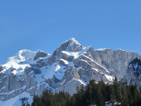 cornettes de bise