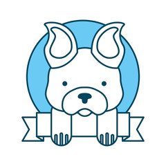 cute dog mascot with ribbon vector illustration design