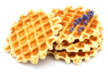 Round Belgian waffles with lavender isolated.