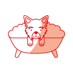 cute Dog bathing in the tub vector illustration design
