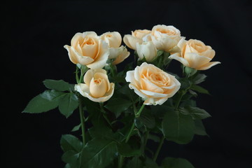 薔薇の花束