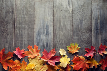 Naklejka na ściany i meble autumn leaf on wood background (top view)