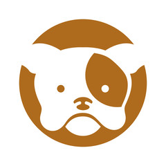 cute dog mascot icon vector illustration design