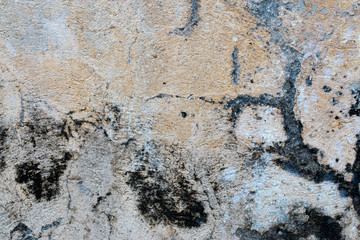 white concrete wall texture
