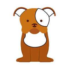Fototapeta premium cute dog mascot icon vector illustration design