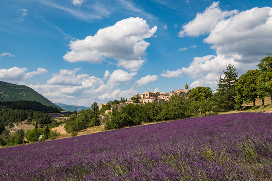 Vue sur le village Aurel en Provence, France. Champ de lavande au premier plan. Ciel bleu avec de beaux nuages. © Marina