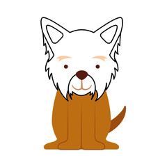 cute dog mascot icon vector illustration design