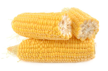 Corn on a white background