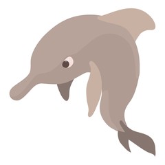 Dolphin icon, cartoon style
