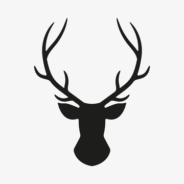 Deer head. Vector.