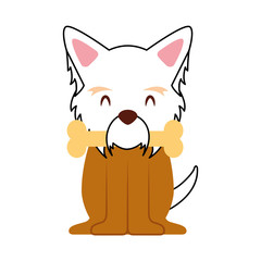 cute dog mascot with bone vector illustration design
