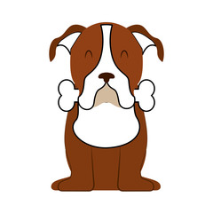 cute dog mascot with bone vector illustration design