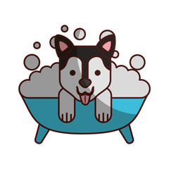 Fototapeta premium cute Dog bathing in the tub vector illustration design