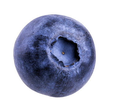bilberry, blueberries isolated on white