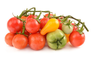 juicy tomatoes on white background