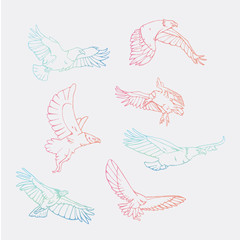 Hand-drawn pencil graphics, vulture, eagle, osprey, falcon, hawk, scavenger, condor, karkar, kite.Engraving, stencil style. Bird predator.Logo,sign,emblem,symbol Stamp,seal. Simple illustration Sketch