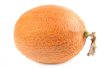 Melon on a white background